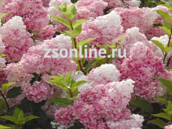 Изображение загружено обработкой по данным файла Excel