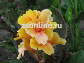 Изображение загружено обработкой по данным файла Excel