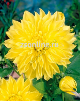 Изображение загружено обработкой по данным файла Excel