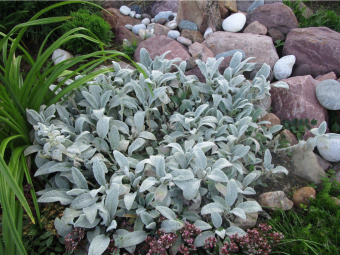 НоменклатураПрисоединенныеФайлы