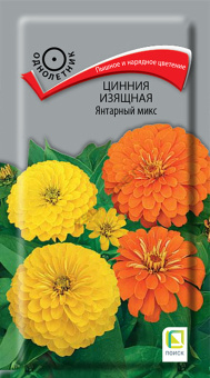 Цинния изящная Янтарный микс (ЦВ)