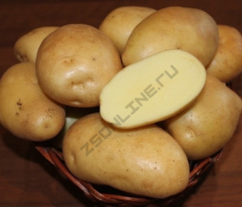 Картофель семенной Ариэль (суперэлита) 3кг	