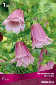 Изображение загружено обработкой по данным файла Excel