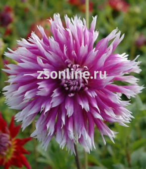 Изображение загружено обработкой по данным файла Excel