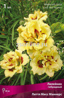 Изображение загружено обработкой по данным файла Excel