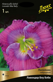 Изображение загружено обработкой по данным файла Excel