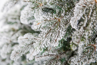 Ель стильная Triumph Tree 74004 заснеженная, 230 см 3