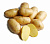 Картофель семенной Юбилей Жукова, 3 кг