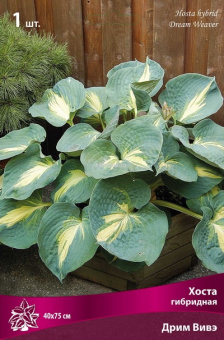 Изображение загружено обработкой по данным файла Excel