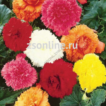 Изображение загружено обработкой по данным файла Excel