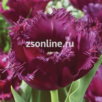 Изображение загружено обработкой по данным файла Excel