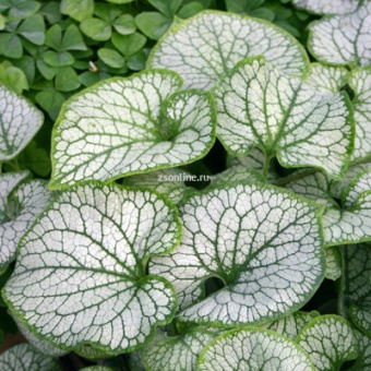 Изображение загружено обработкой по данным файла Excel