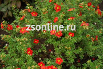 Изображение загружено обработкой по данным файла Excel