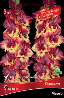 Гладиолус Марго 10-12/К 5шт