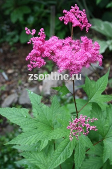 Изображение загружено обработкой по данным файла Excel