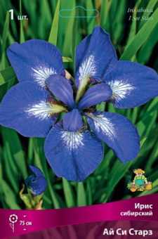 Ирис сибирский в асс.V1,5л