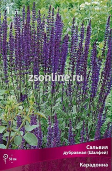 Изображение загружено обработкой по данным файла Excel