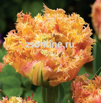 Изображение загружено обработкой по данным файла Excel