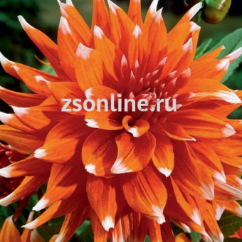 Изображение загружено обработкой по данным файла Excel