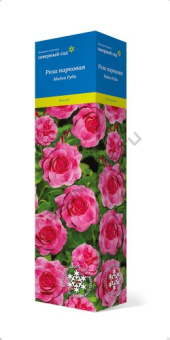 rosa_kanad_park_modern_ruby_3D