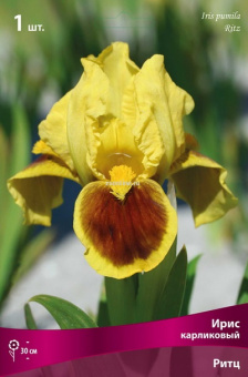 Изображение загружено обработкой по данным файла Excel