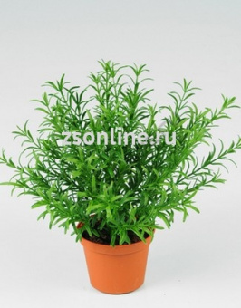 Изображение загружено обработкой по данным файла Excel