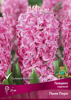 Гиацинт Садовый Пинк Перл 3шт, 14/15)