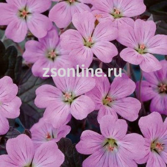 Изображение загружено обработкой по данным файла Excel