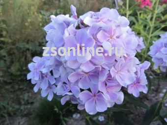 Изображение загружено обработкой по данным файла Excel