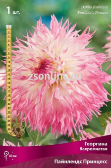 Изображение загружено обработкой по данным файла Excel