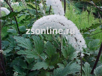 Изображение загружено обработкой по данным файла Excel