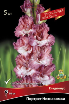 Гладиолус Портрет незнакомки 10-12/К 5шт