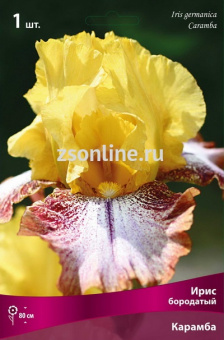 Изображение загружено обработкой по данным файла Excel