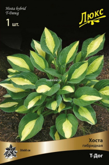 Изображение загружено обработкой по данным файла Excel