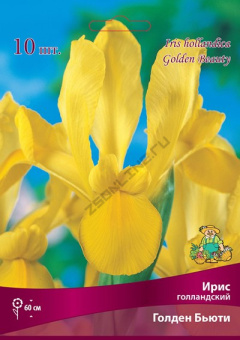 Ирис голландский Голден Бьюти/К 10шт