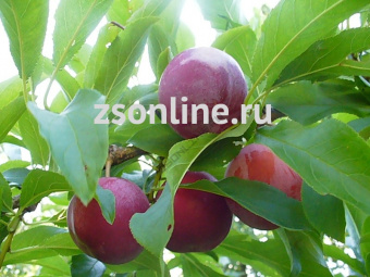 Изображение загружено обработкой по данным файла Excel