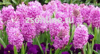 Изображение загружено обработкой по данным файла Excel