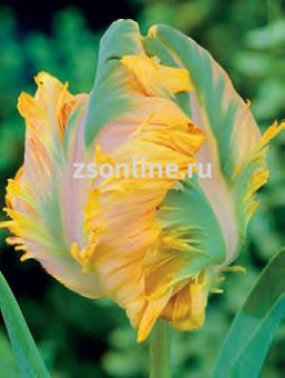 Изображение загружено обработкой по данным файла Excel