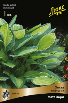 Изображение загружено обработкой по данным файла Excel