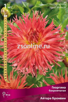 Изображение загружено обработкой по данным файла Excel