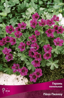 Изображение загружено обработкой по данным файла Excel