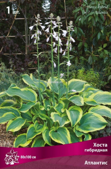 Изображение загружено обработкой по данным файла Excel