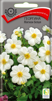 georgina_mignon_belaya