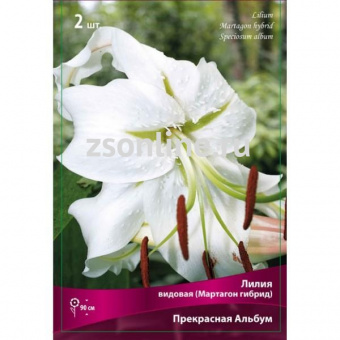 Изображение загружено обработкой по данным файла Excel