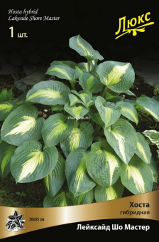 Изображение загружено обработкой по данным файла Excel