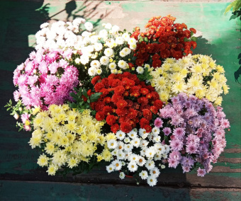 IMG-20190821-WA0003