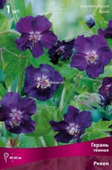 Изображение загружено обработкой по данным файла Excel