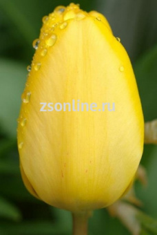 Изображение загружено обработкой по данным файла Excel