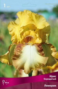 Изображение загружено обработкой по данным файла Excel