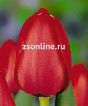 Изображение загружено обработкой по данным файла Excel